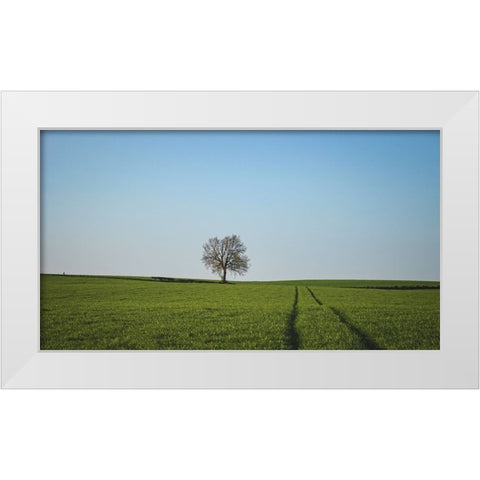 Trees 52 White Modern Wood Framed Art Print by Lee, Rachel