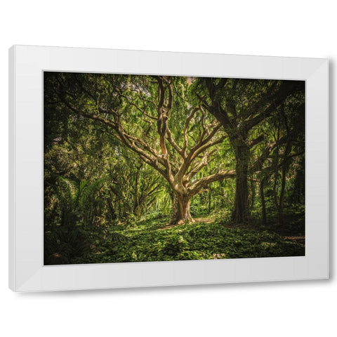Trees 53 White Modern Wood Framed Art Print by Lee, Rachel