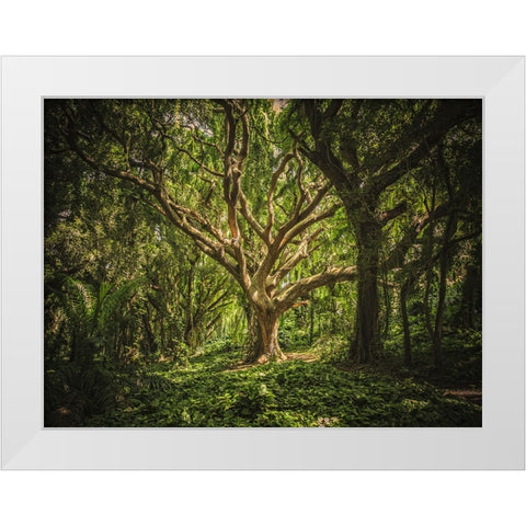 Trees 53 White Modern Wood Framed Art Print by Lee, Rachel