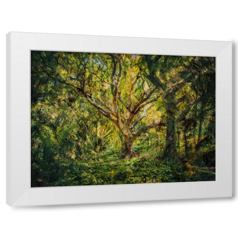 Trees 53 Painted White Modern Wood Framed Art Print by Lee, Rachel