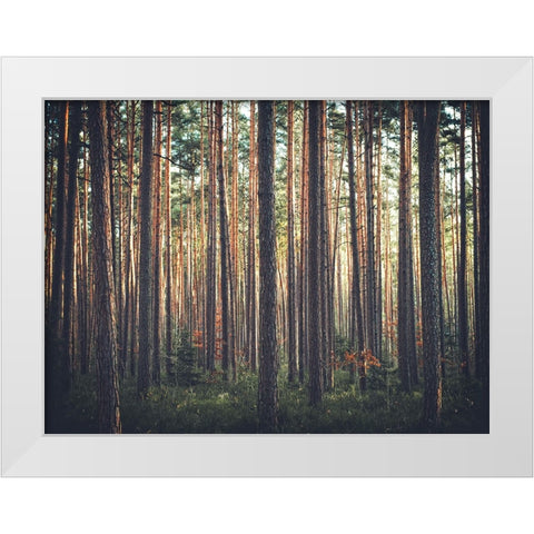 Trees 54 White Modern Wood Framed Art Print by Lee, Rachel