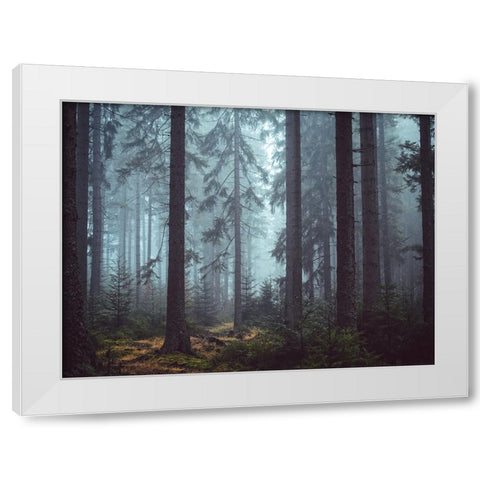 Trees 55 White Modern Wood Framed Art Print by Lee, Rachel