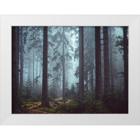 Trees 55 White Modern Wood Framed Art Print by Lee, Rachel