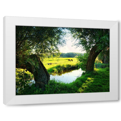 Trees 58 White Modern Wood Framed Art Print by Lee, Rachel