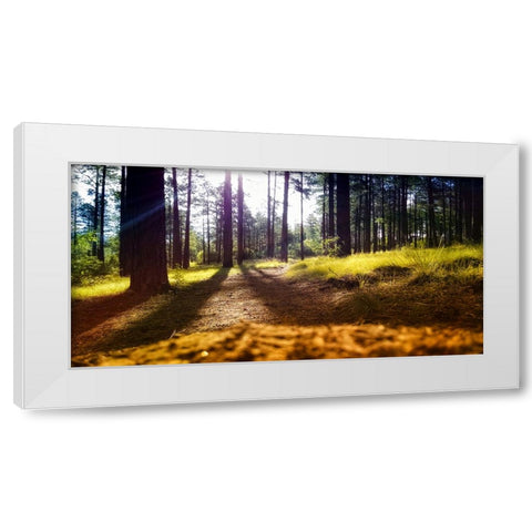 Trees 59 White Modern Wood Framed Art Print by Lee, Rachel