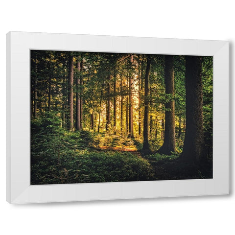 Trees 61 White Modern Wood Framed Art Print by Lee, Rachel