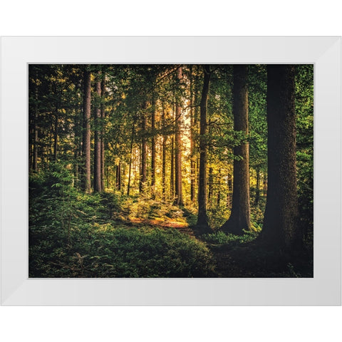 Trees 61 White Modern Wood Framed Art Print by Lee, Rachel