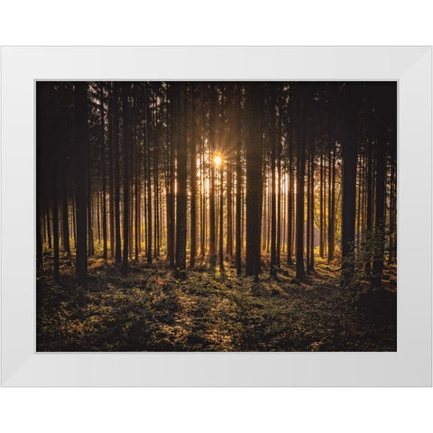 Trees 63 White Modern Wood Framed Art Print by Lee, Rachel
