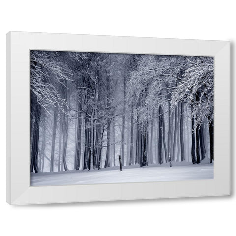 Trees 65 White Modern Wood Framed Art Print by Lee, Rachel