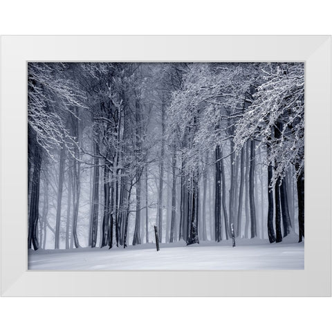 Trees 65 White Modern Wood Framed Art Print by Lee, Rachel