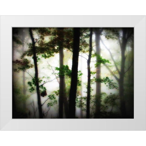 Trees 66 White Modern Wood Framed Art Print by Lee, Rachel
