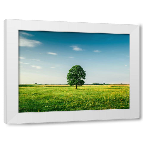 Trees 67 White Modern Wood Framed Art Print by Lee, Rachel