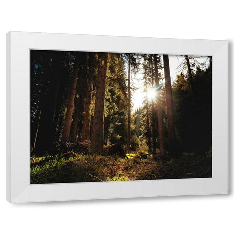 Trees 69 White Modern Wood Framed Art Print by Lee, Rachel