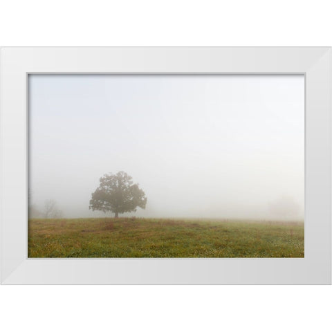 Trees 8 White Modern Wood Framed Art Print by Lee, Rachel