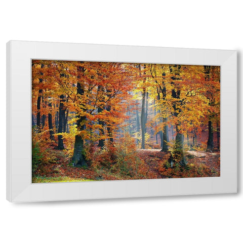 Trees 9 White Modern Wood Framed Art Print by Lee, Rachel