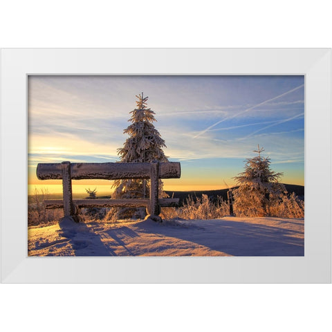 Trees And Bench 1 White Modern Wood Framed Art Print by Lee, Rachel