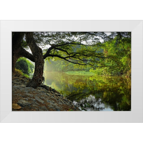 Trees And Water 1 White Modern Wood Framed Art Print by Lee, Rachel