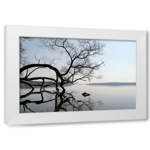 Trees and Water 7 White Modern Wood Framed Art Print by Lee, Rachel