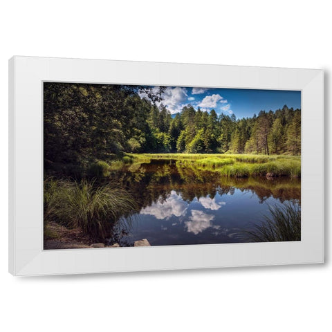 Trees And Water 8 White Modern Wood Framed Art Print by Lee, Rachel