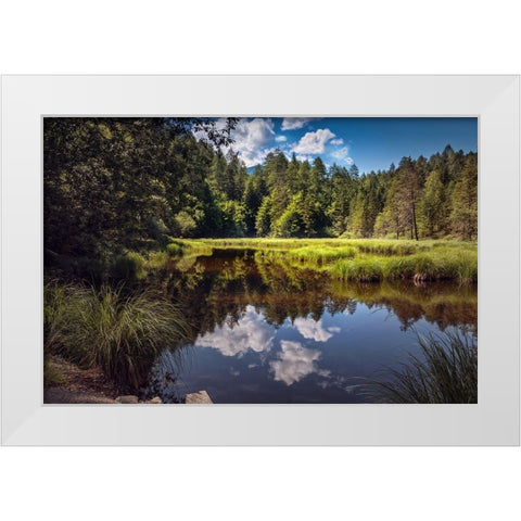 Trees And Water 8 White Modern Wood Framed Art Print by Lee, Rachel