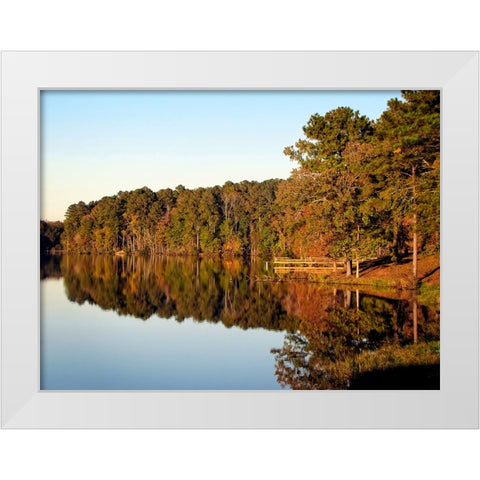 Trees And Water 9 White Modern Wood Framed Art Print by Lee, Rachel