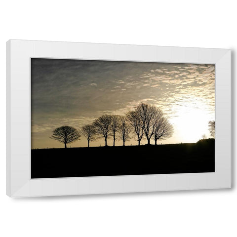 Trees Evening White Modern Wood Framed Art Print by Lee, Rachel