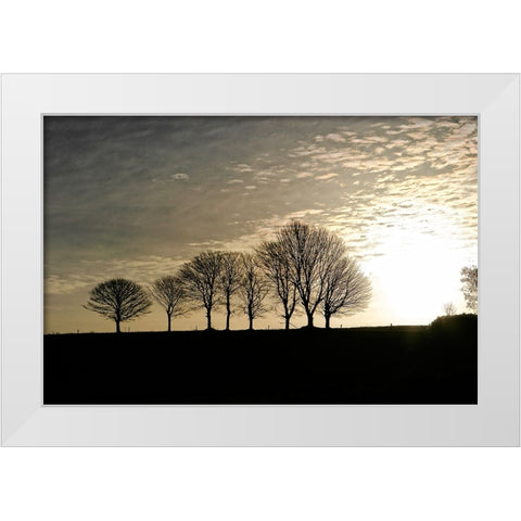 Trees Evening White Modern Wood Framed Art Print by Lee, Rachel