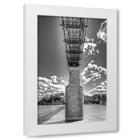 Under Walnut BW White Modern Wood Framed Art Print by Lee, Rachel