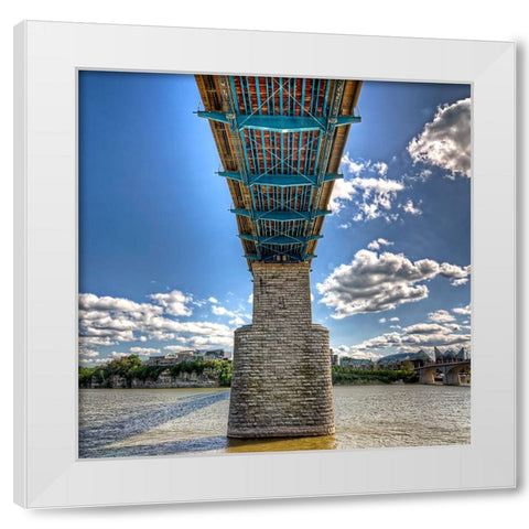 Under Walnut HDR White Modern Wood Framed Art Print by Lee, Rachel