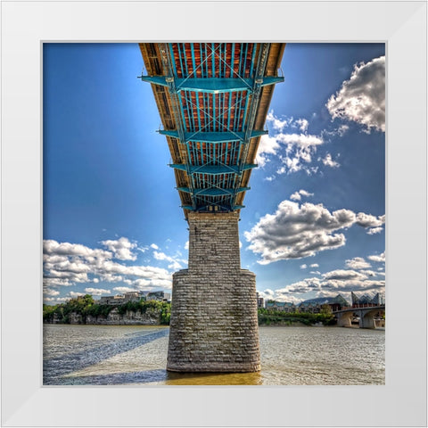 Under Walnut HDR White Modern Wood Framed Art Print by Lee, Rachel