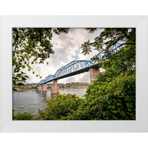 Walnut From South White Modern Wood Framed Art Print by Lee, Rachel