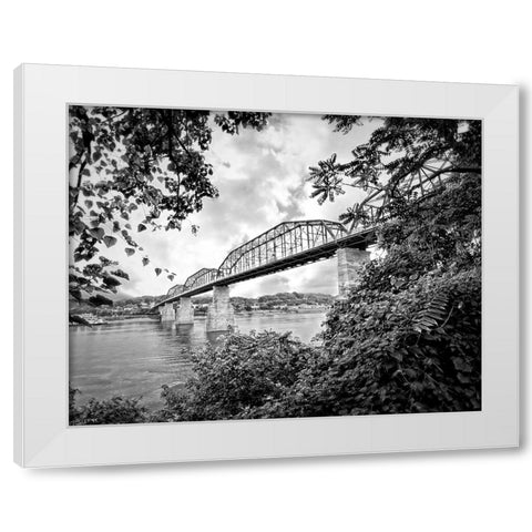 Walnut From South BW White Modern Wood Framed Art Print by Lee, Rachel