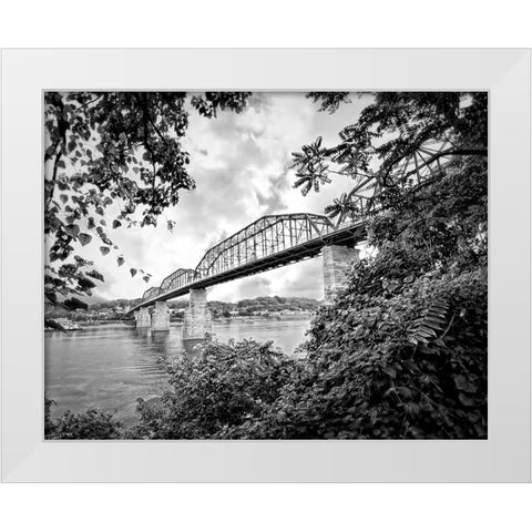 Walnut From South BW White Modern Wood Framed Art Print by Lee, Rachel