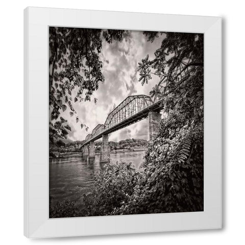 Walnut From South BW Rugged White Modern Wood Framed Art Print by Lee, Rachel