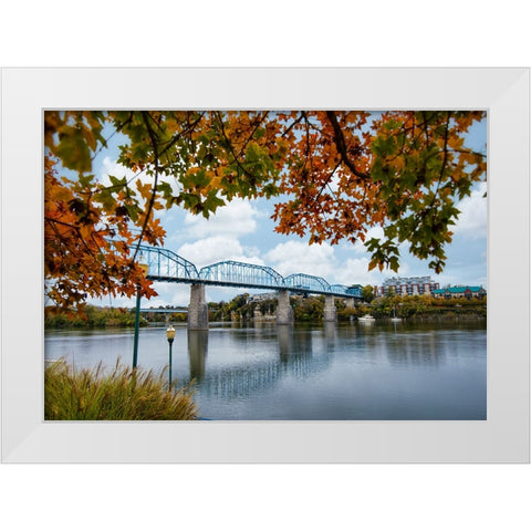 Walnut Leaves White Modern Wood Framed Art Print by Lee, Rachel