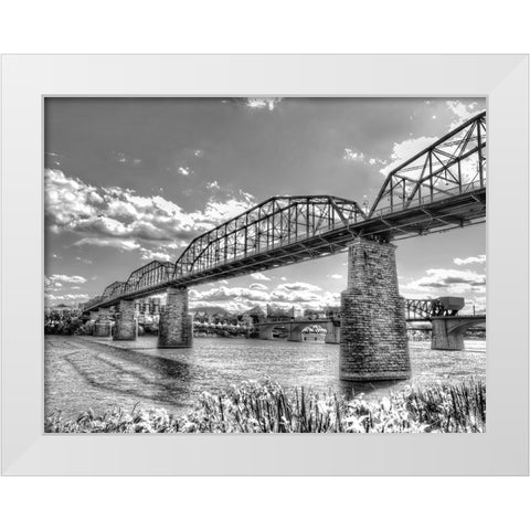 Walnut Left 2 HDR BW White Modern Wood Framed Art Print by Lee, Rachel