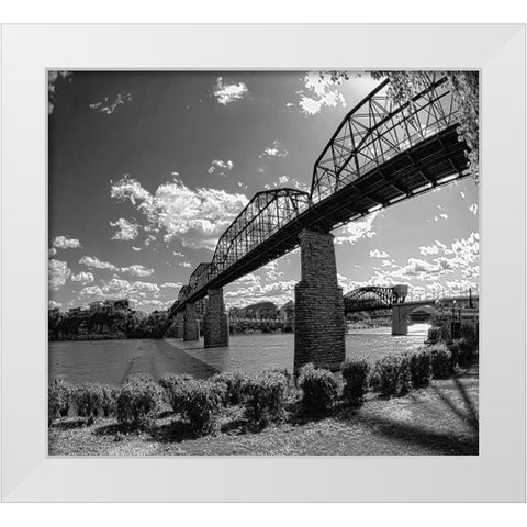 Walnut Left BW White Modern Wood Framed Art Print by Lee, Rachel