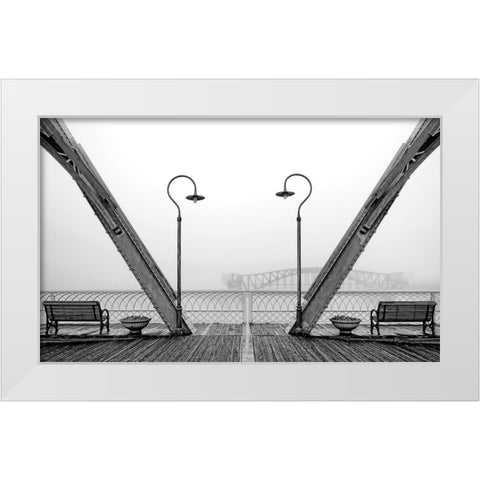 Walnut Posts in Fog BW White Modern Wood Framed Art Print by Lee, Rachel