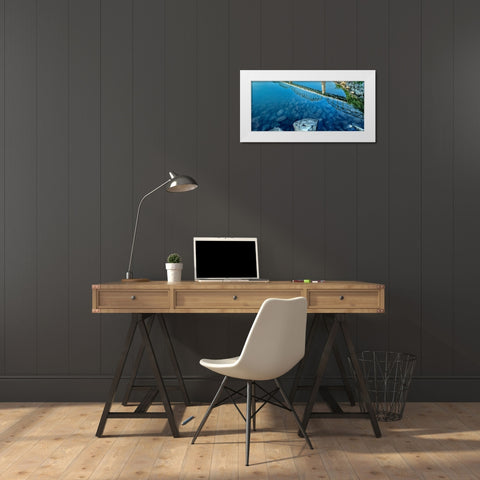 Walnut River Reflection White Modern Wood Framed Art Print by Lee, Rachel