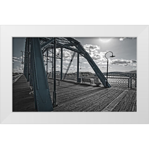 Walnut Sideview Lightwash White Modern Wood Framed Art Print by Lee, Rachel