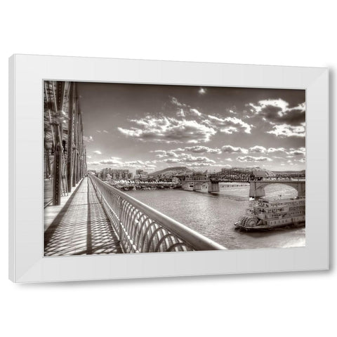 Walnut To Lookout Sepia White Modern Wood Framed Art Print by Lee, Rachel