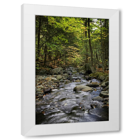Waterfall 13 White Modern Wood Framed Art Print by Lee, Rachel