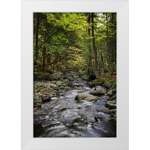 Waterfall 13 White Modern Wood Framed Art Print by Lee, Rachel