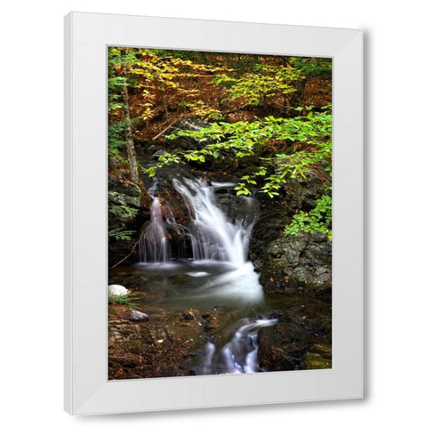 Waterfall 14 White Modern Wood Framed Art Print by Lee, Rachel
