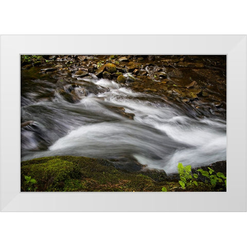 Waterfall 2 White Modern Wood Framed Art Print by Lee, Rachel
