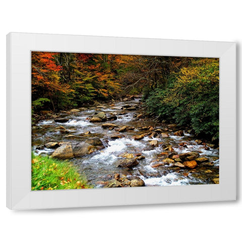 Waterfall 23 White Modern Wood Framed Art Print by Lee, Rachel