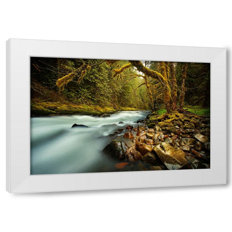 Waterfall 24 White Modern Wood Framed Art Print by Lee, Rachel