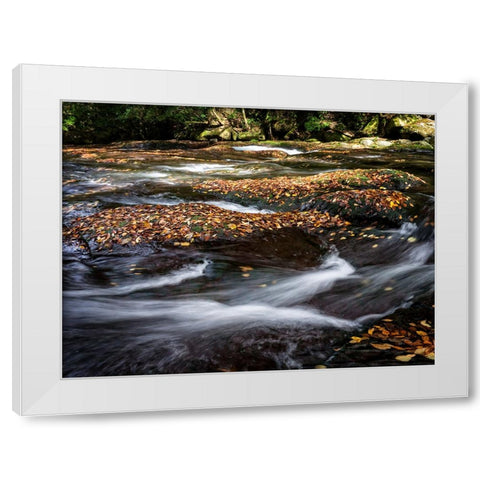 Waterfall 25 White Modern Wood Framed Art Print by Lee, Rachel