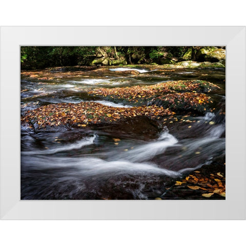 Waterfall 25 White Modern Wood Framed Art Print by Lee, Rachel