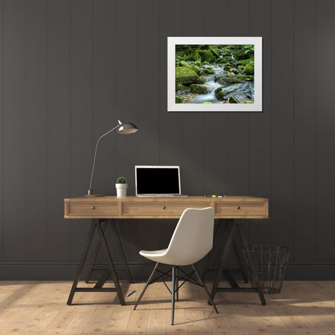 Waterfall 26 White Modern Wood Framed Art Print by Lee, Rachel